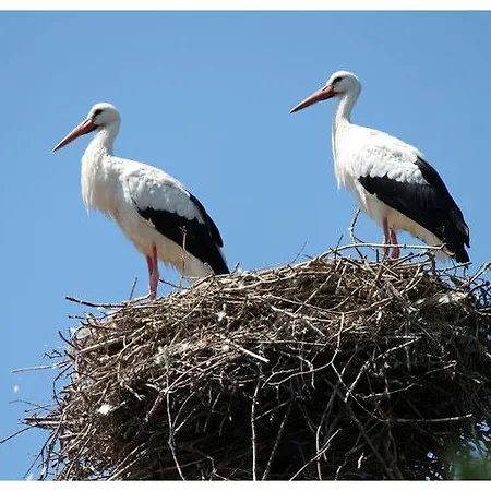 Le Plein Ciel Appartement